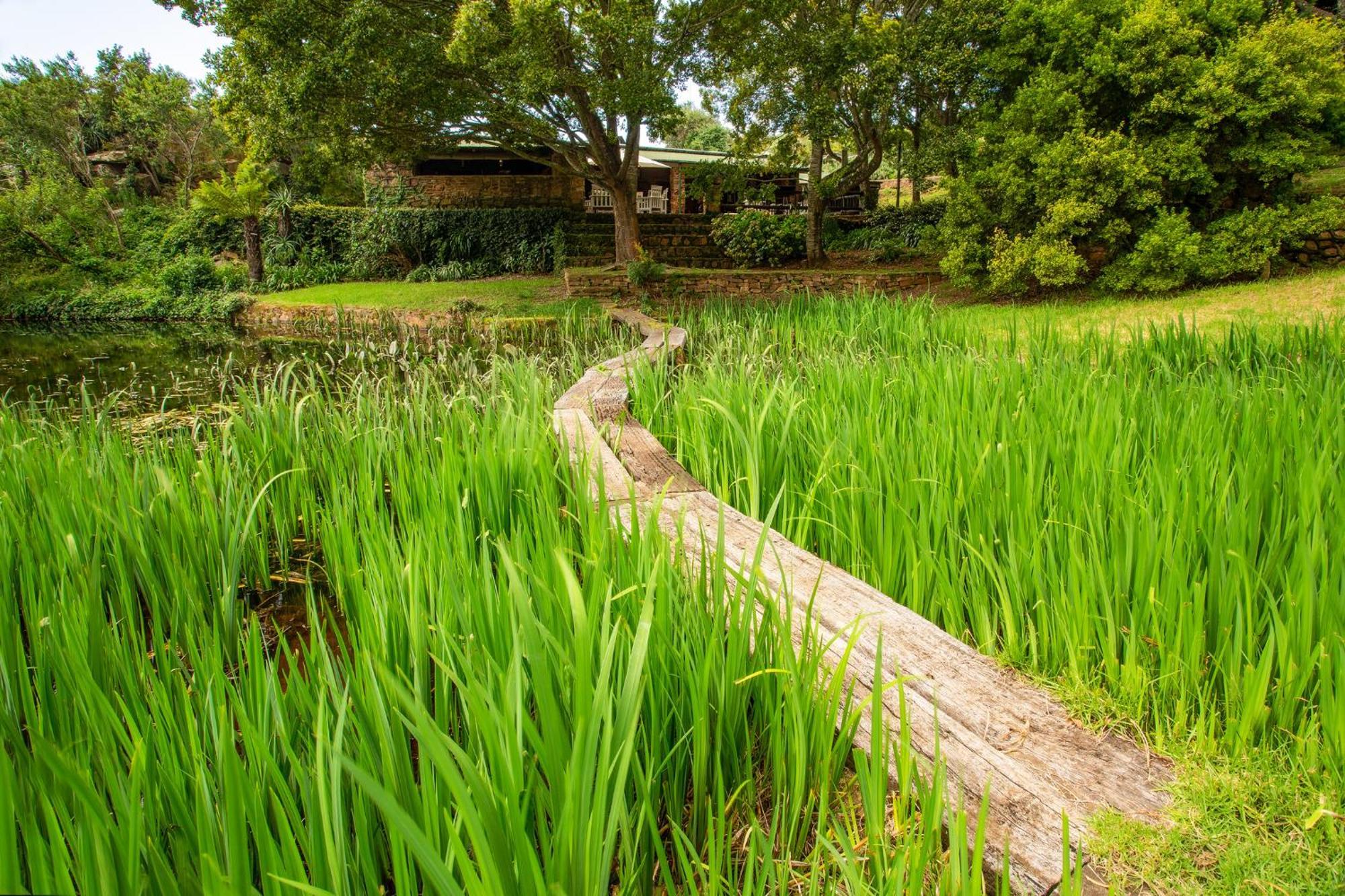 Lodge Paardeplaatsnatureretreat Rhenosterhoek